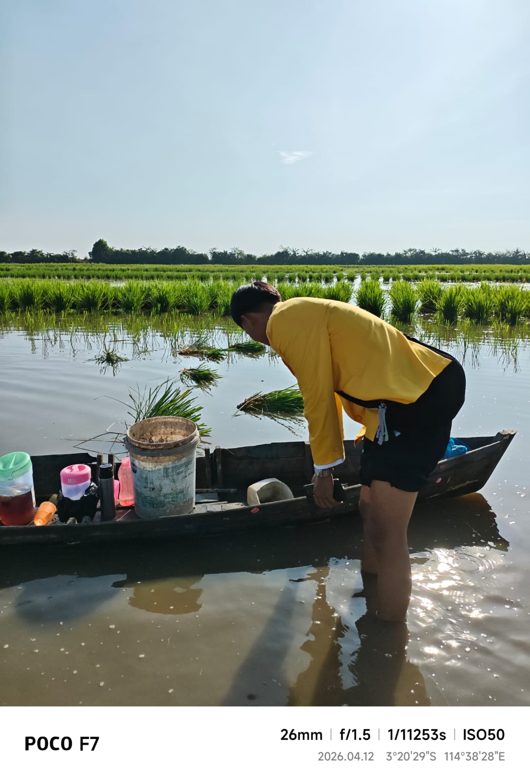 Pertanian pasang surut